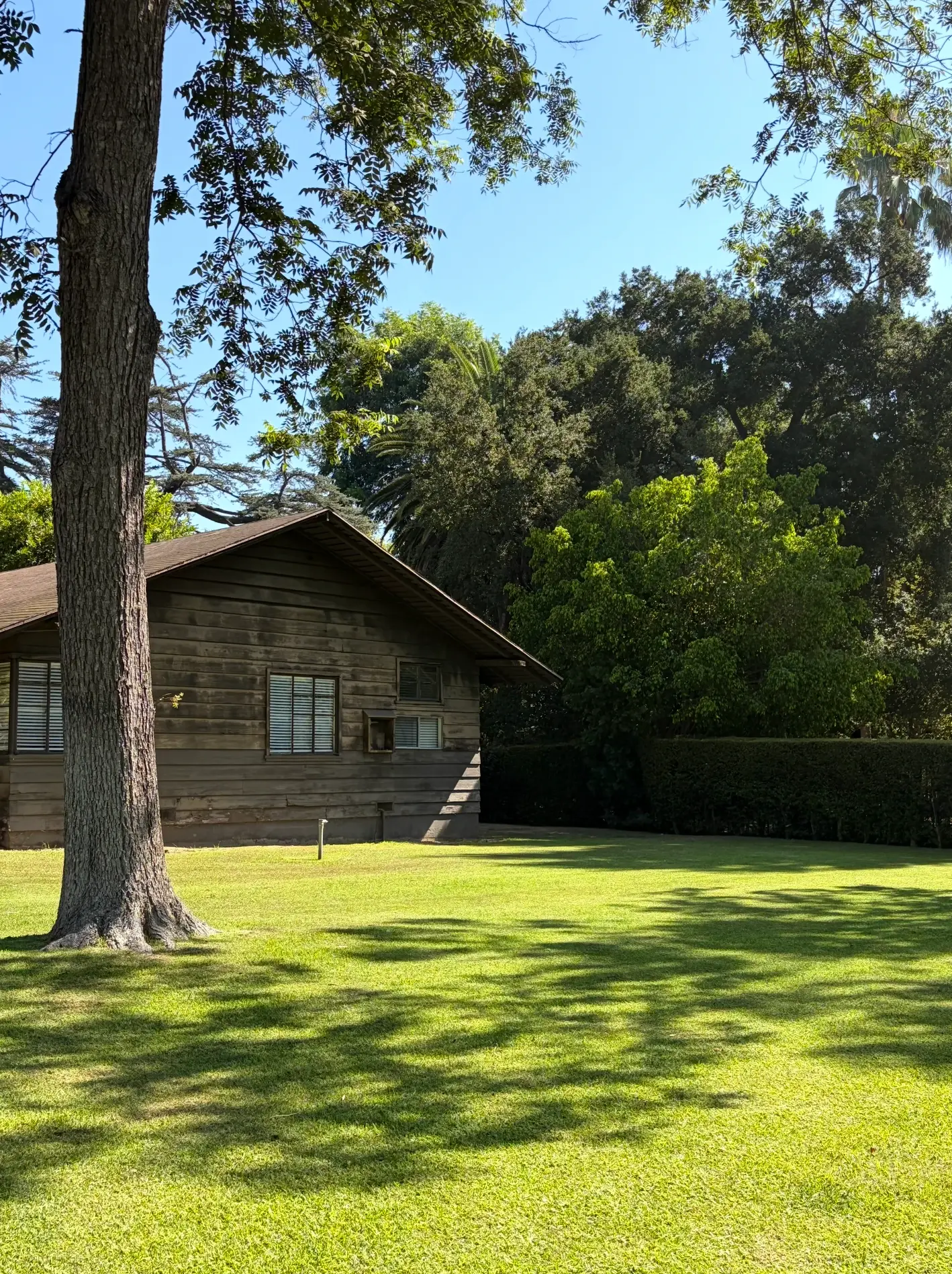 Our Pasadena clinic garden
