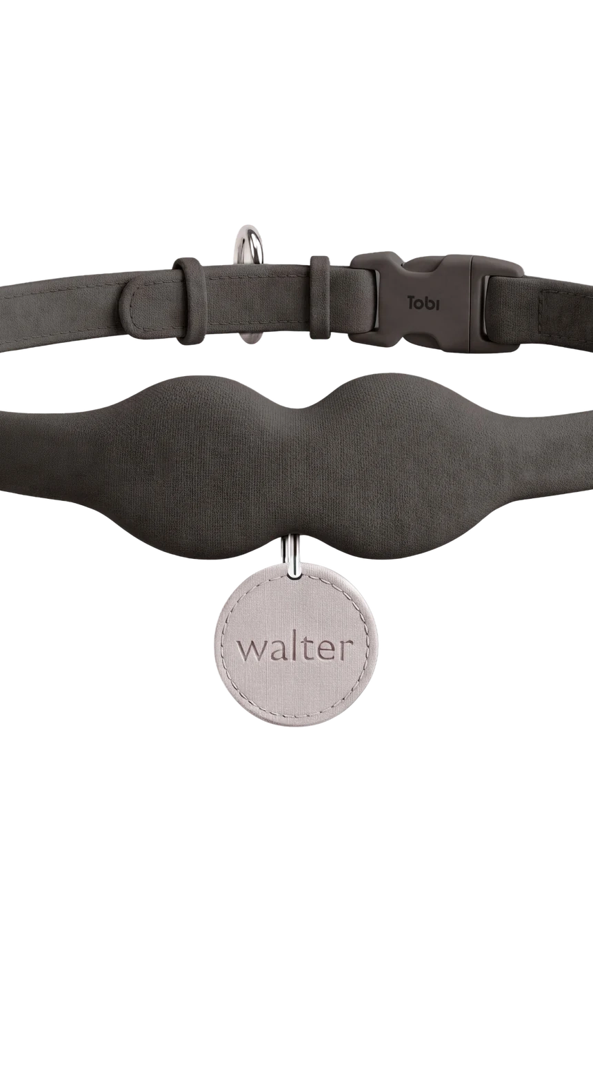 The Tobi collar in charcoal