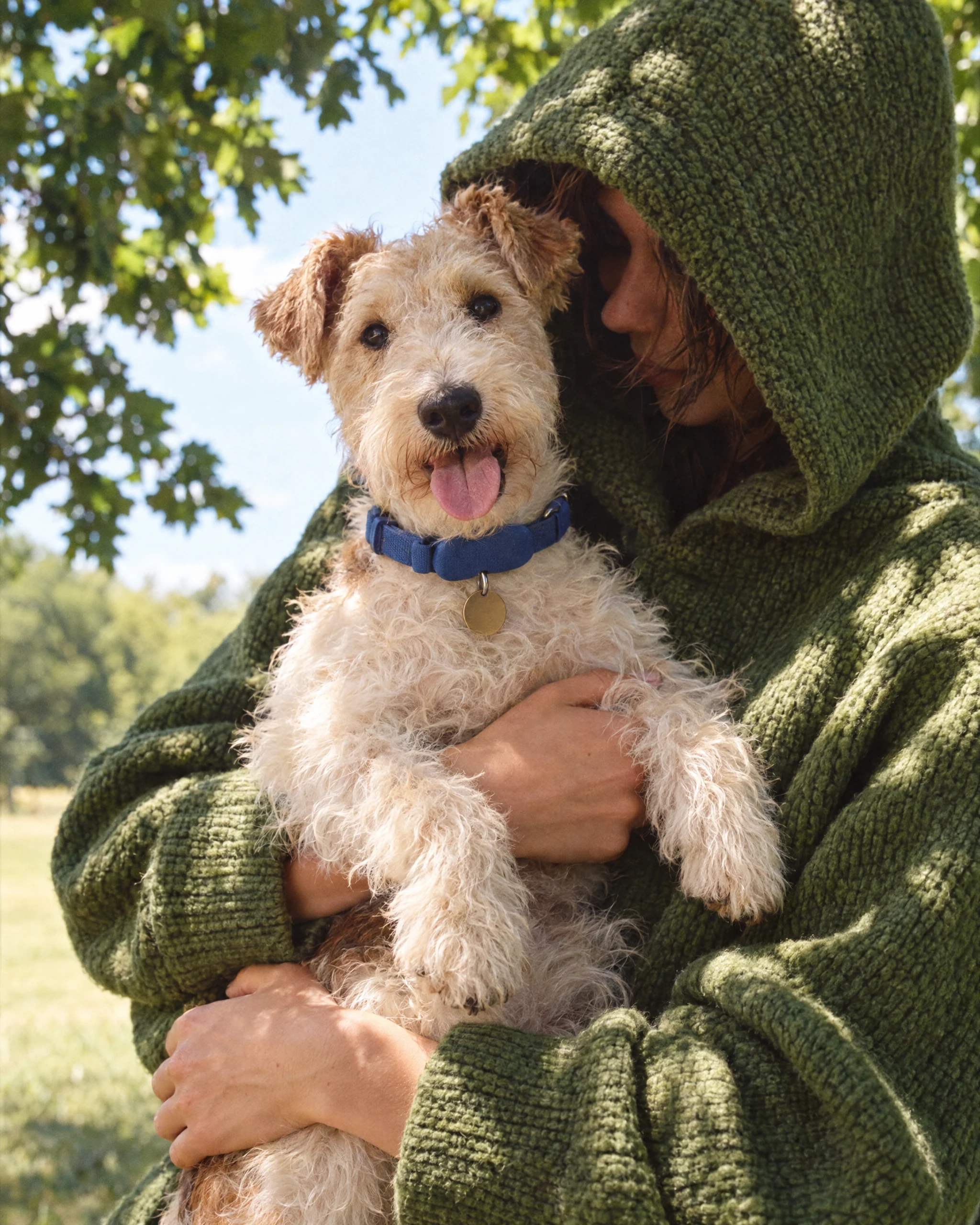 A wire fox terrier held in a green hoodie