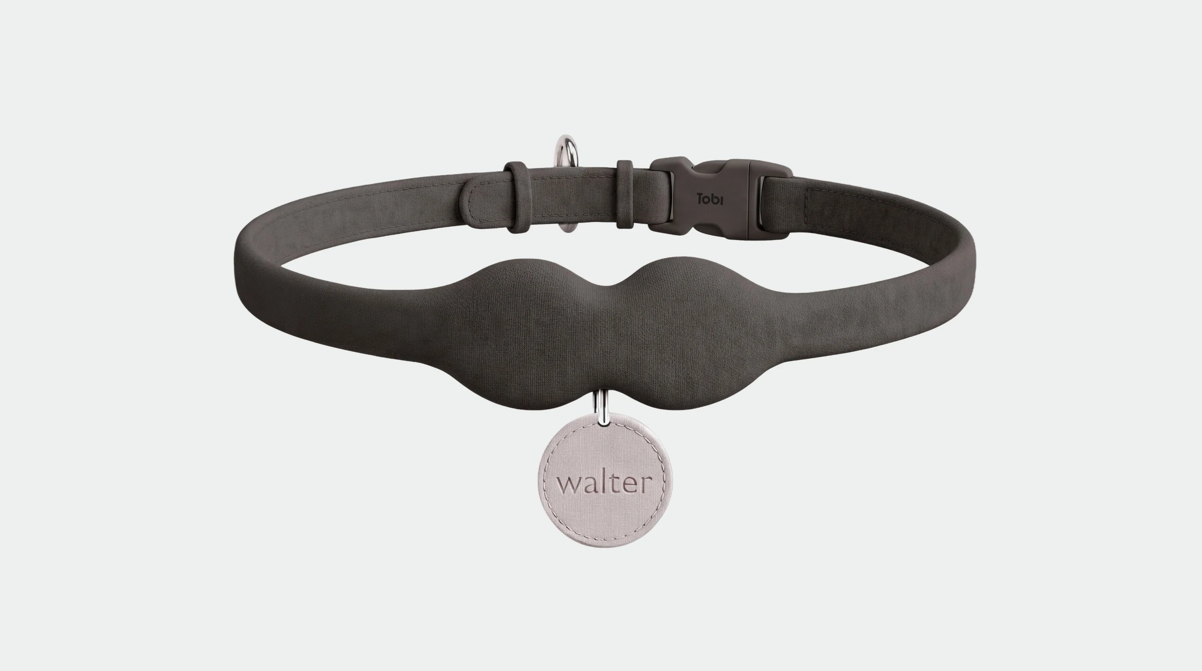 The Tobi collar in charcoal, with a name tag reading walter
