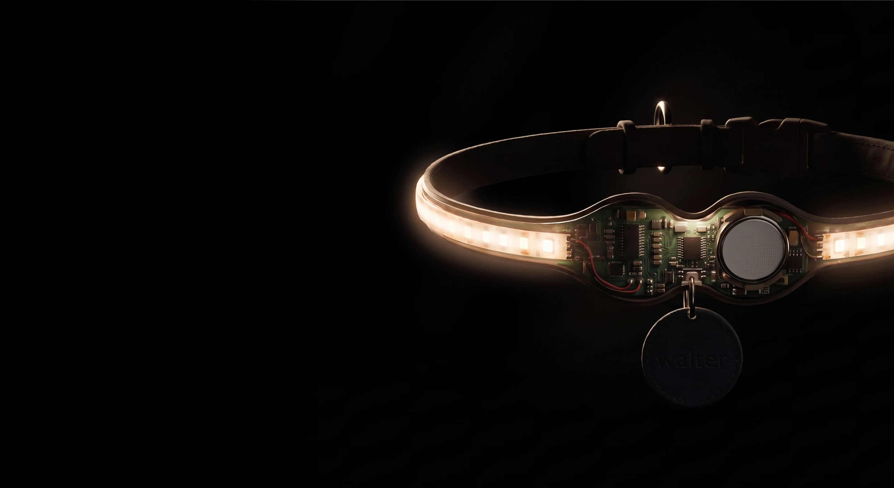 The inside of the Tobi collar: its circuit board, battery and light strip, glowing on black