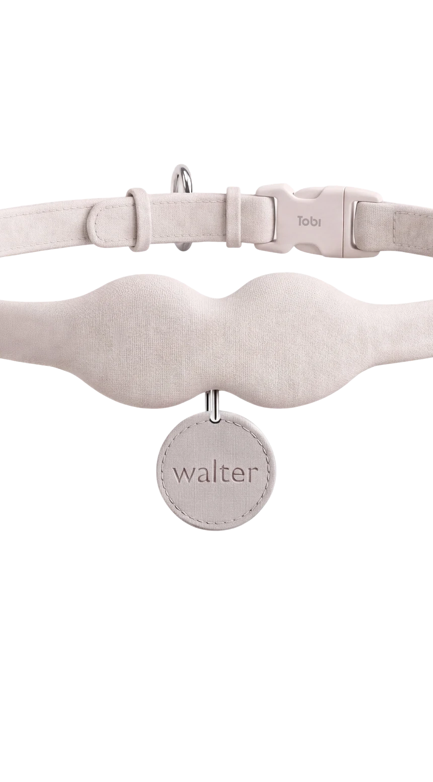 The Tobi collar in blush