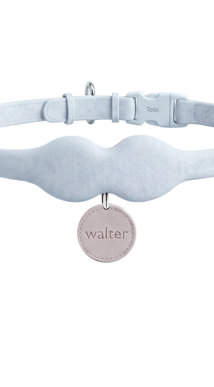 The Tobi collar in sky blue