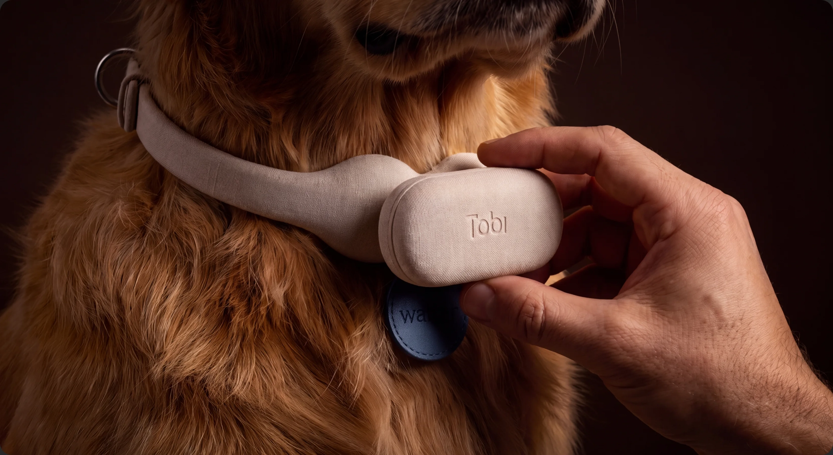 A hand holding the Tobi battery pill against a golden retriever's chest