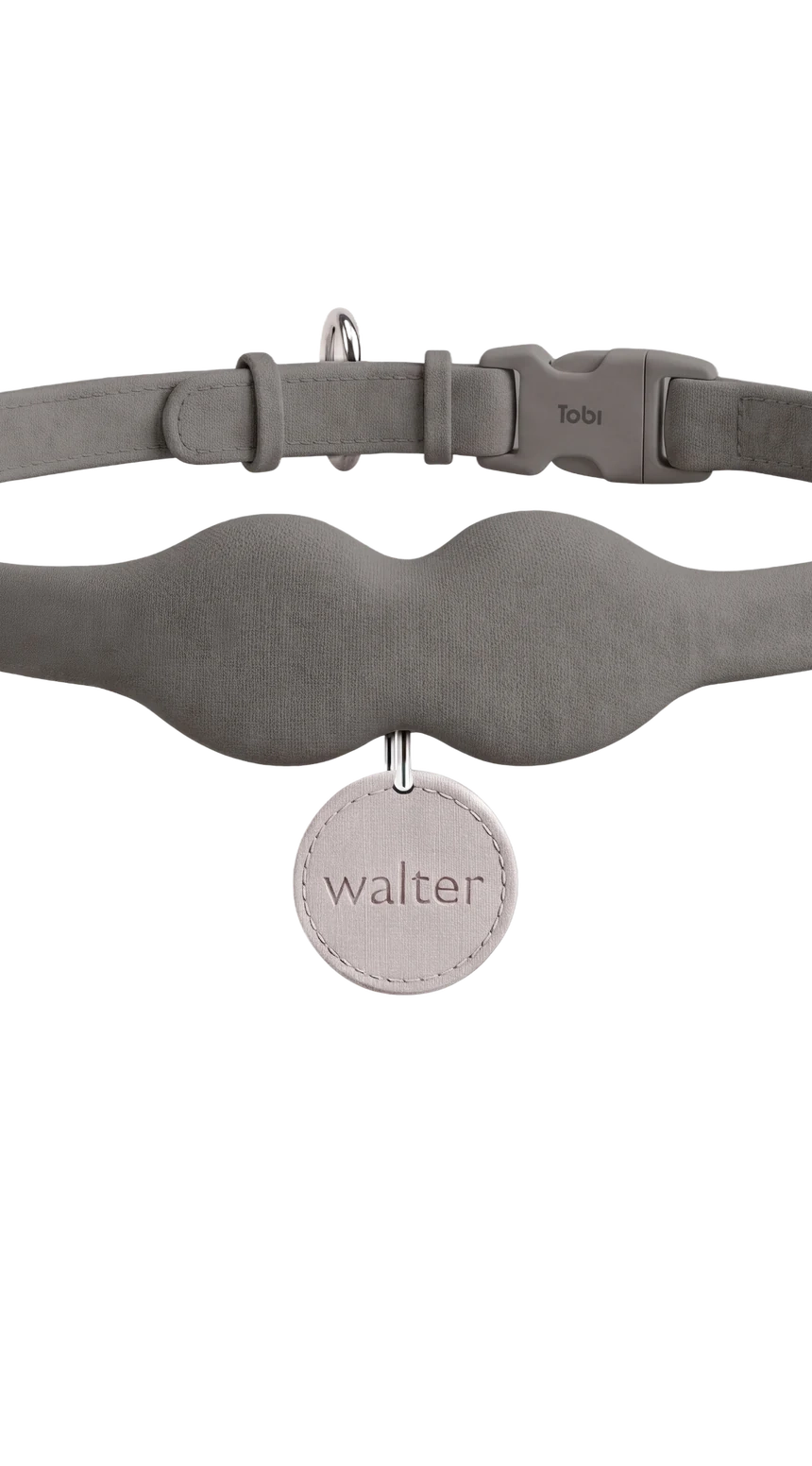 The Tobi collar in slate