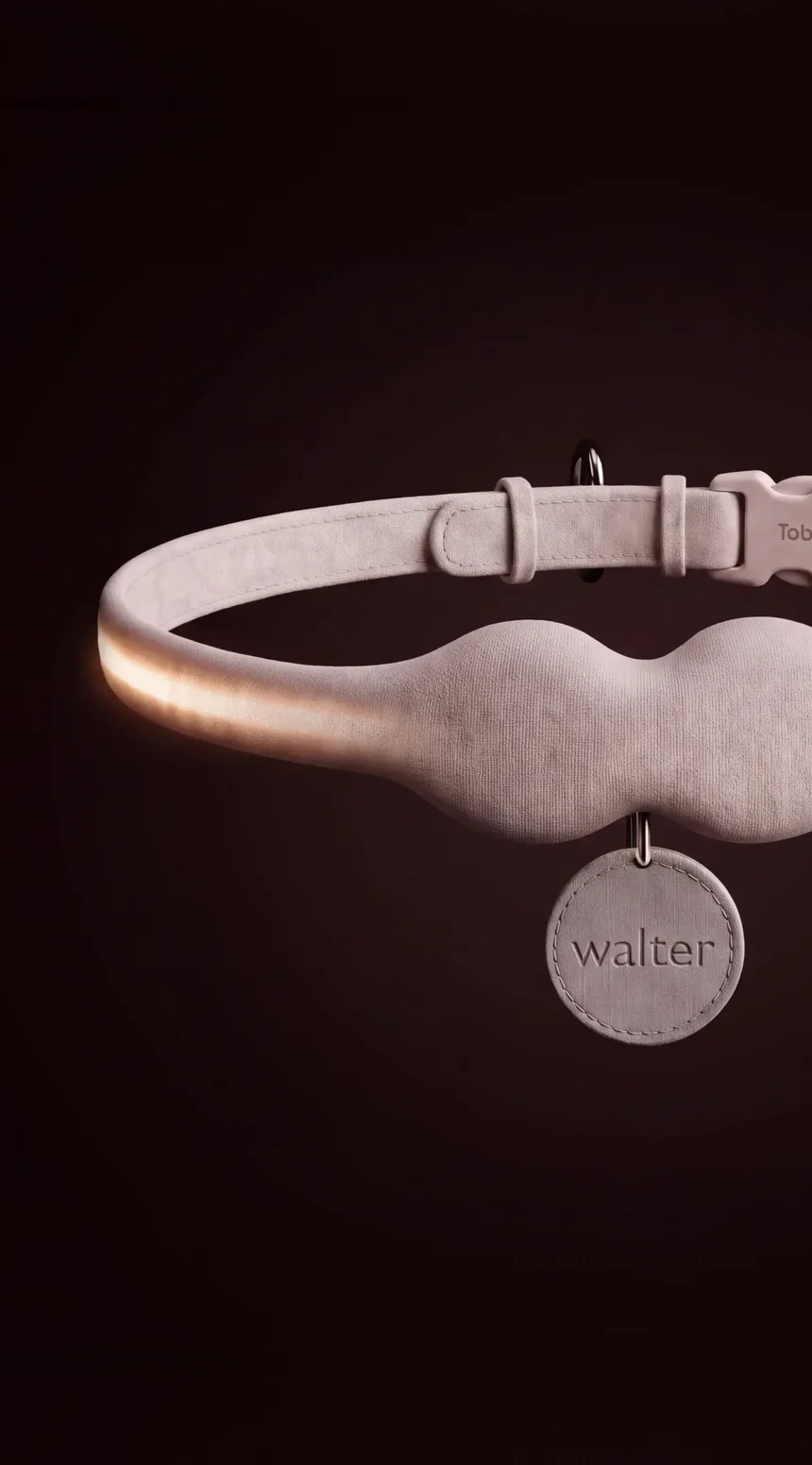 The sand Tobi collar in the dark, its light strip glowing, the walter tag hanging below